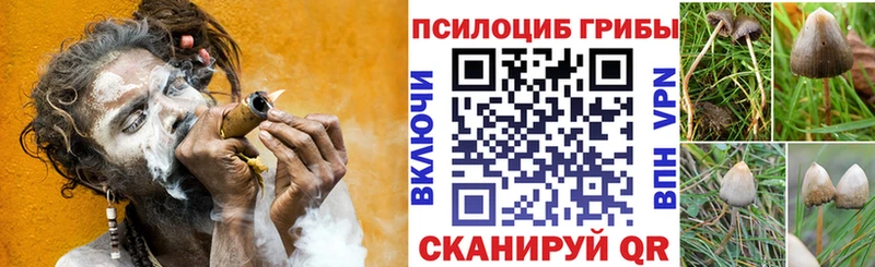 Псилоцибиновые грибы ЛСД  hydra ССЫЛКА  Янаул 